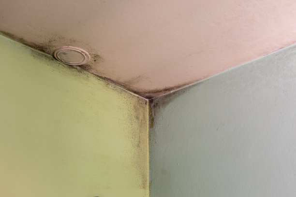 不美观的墙角与霉菌在房间库存照片图片下载