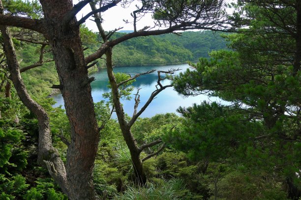 日本的湖图片下载