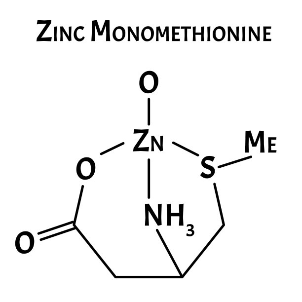 一蛋氨酸锌是一种分子化学物质图片下载
