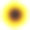 向日葵孤立，现实的夏季花插图。图片下载