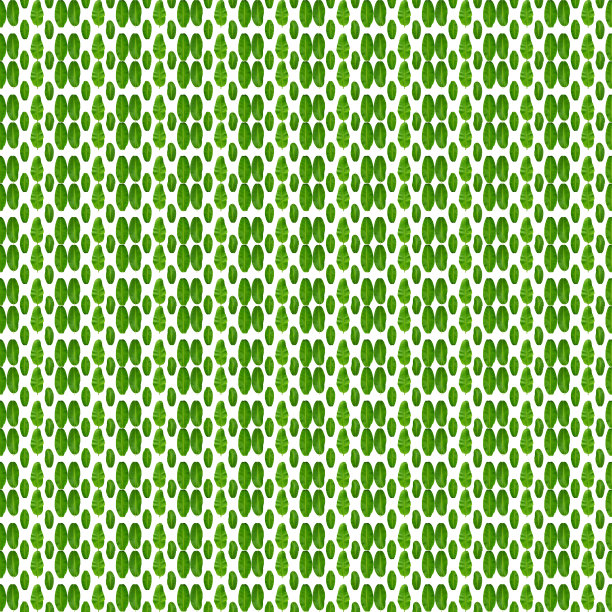 白色背景上的绿色香蕉叶子无缝图案。植物无缝模式概念。图片下载