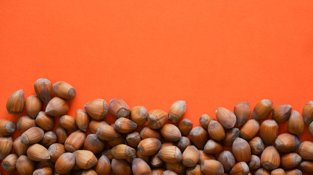 生新鲜的榛子在橙色的背景拷贝空间图片下载