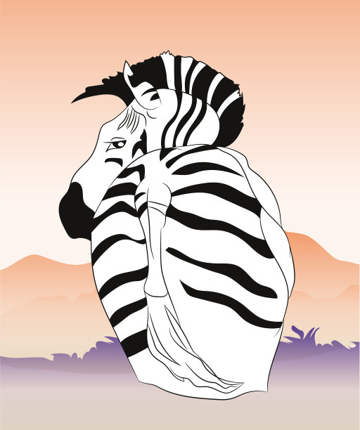 斑马肖像的颜色图片下载