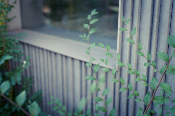 gureen和建筑图片下载