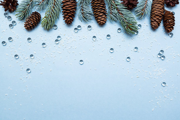 蓝色的云杉枝，冷杉球果和蓝色背景上的雪组成节日的构图。圣诞节和新年的概念图片下载