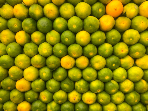 柑橘的销售与展示技术图片下载