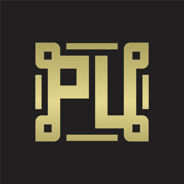 Pu标志与件线交织艺术设计图片下载