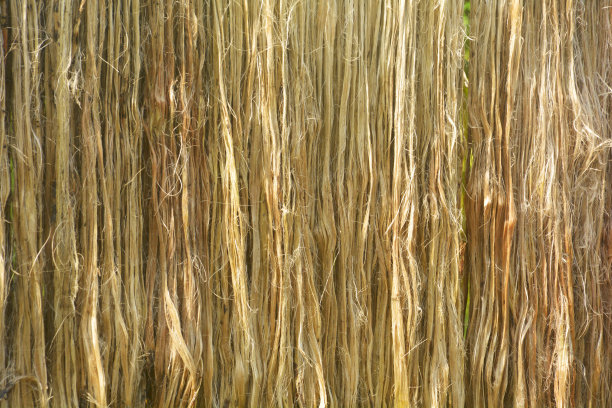 黄麻织物的特写，纤维垂下来在阳光直射下晾干，选择性聚焦图片下载