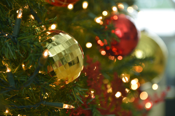 美丽圣诞背景系列图片下载