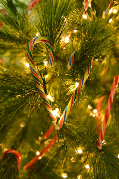 美丽圣诞背景系列图片下载