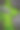 明亮的绿色植物生长在石头之间，看起来像流动的水在河里图片下载