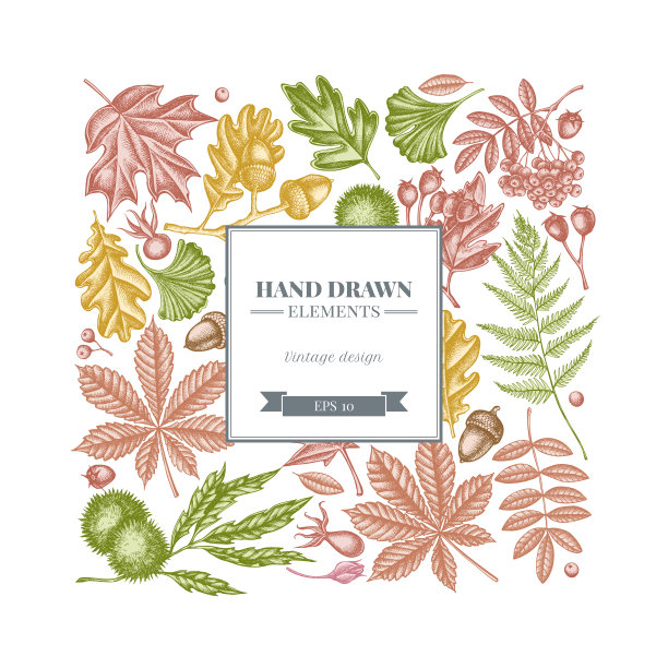 广场设计以粉彩蕨，狗玫瑰，花楸，银杏，枫木，橡树，七叶树，栗子，山楂图片下载