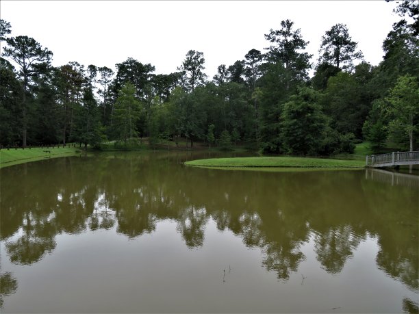 迷你岛屿和池塘图片下载