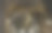 旧的石头天花板上挂着灯泡图片下载