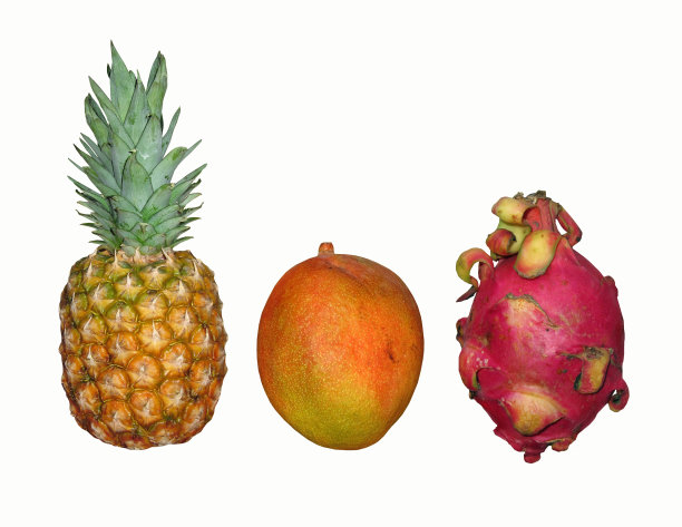 在白色bg上的热带水果图片下载