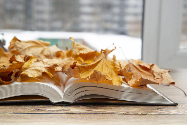 书以黄叶为背景。秋天的概念。图片下载