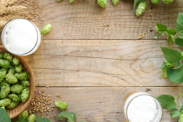 麦芽和啤酒花精酿啤酒背景与复制空间。图片下载