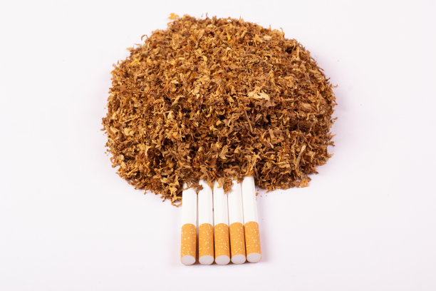 五支香烟插在烟草里。图片下载