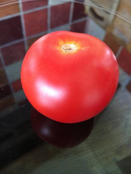 鲜红有机番茄图片下载