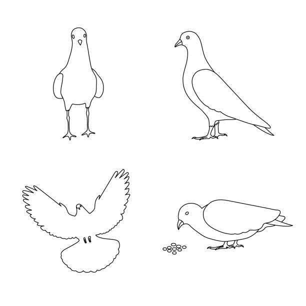 轮廓鸽子鸽子的图标设置孤立图片下载