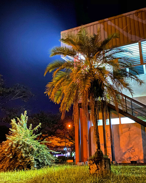 在夜间模式下的工厂建筑图片下载