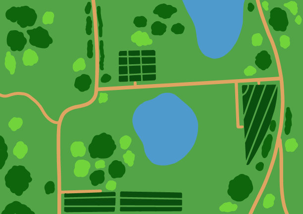 森林顶视图。各种树木和植物。从上面的观点图片下载