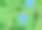 森林顶视图。各种树木和植物。从上面的观点图片下载