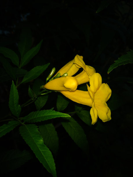 移动摄影图片下载