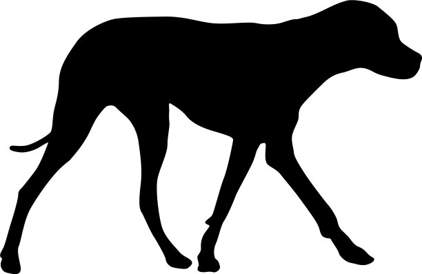 杜宾猎犬黑色的轮廓上的白色图片下载