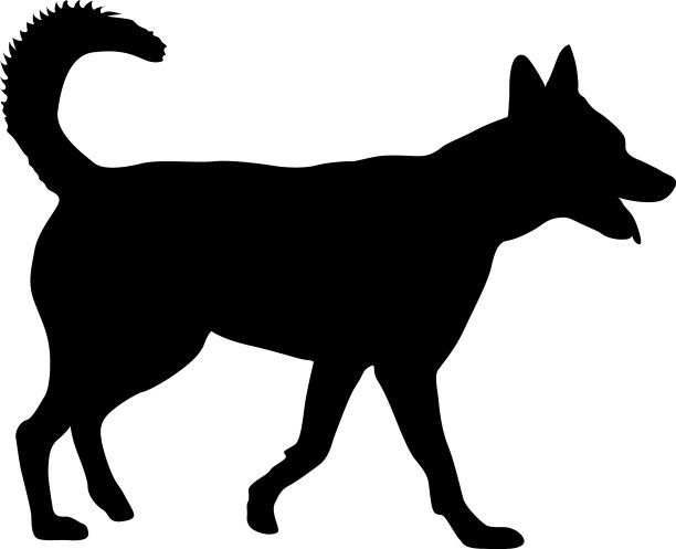 牧羊犬的黑色剪影在白色的背景图片下载