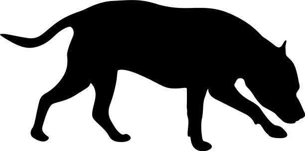 灌水狗黑色的剪影在白色的背景图片下载