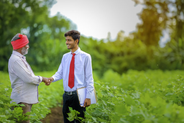 印度农民与农学家在棉花田和握手图片下载