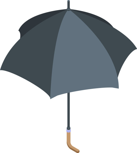 黑色经典伞图标等距样式图片下载