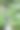 近距离的野花和绿色植物与瀑布运行在背景图片下载