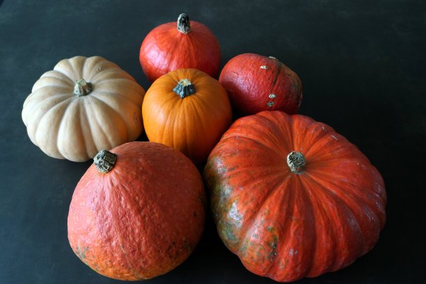 顶视图南瓜在不同的阴影的橙色和黄色在一个黑暗的背景与一些拷贝空间。图片下载