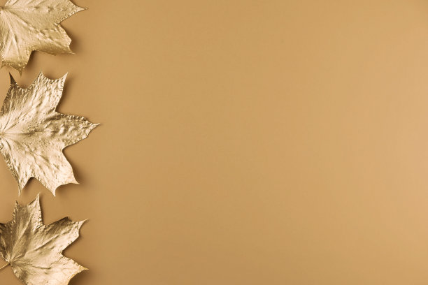 秋天的成分。框架由秋天金黄色的枫叶在的背景。平铺，俯视图，拷贝空间图片下载