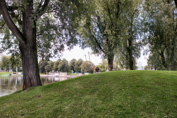 一个公园，有绿色的草坪和树木，在一个池塘和鸭子。图片下载