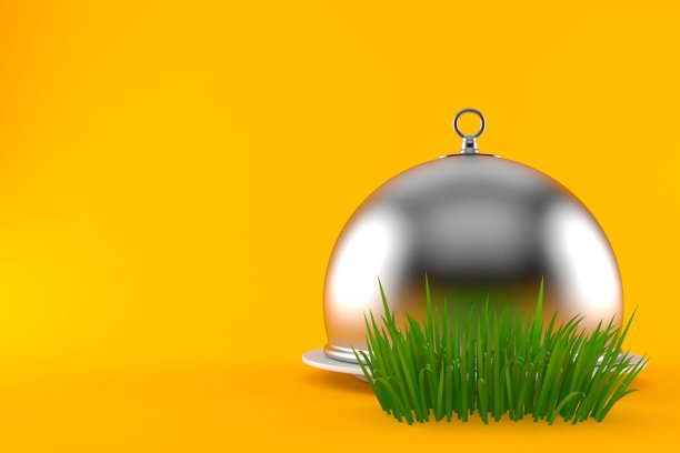 草地上的餐饮圆顶图片下载