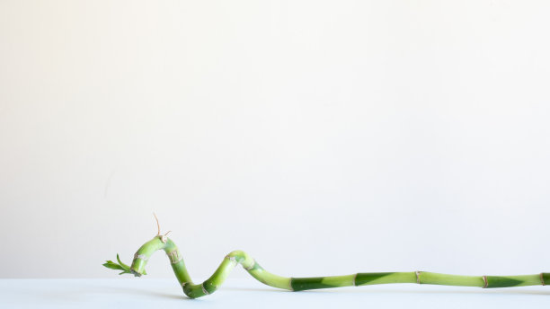 白色的桌子上放着一片竹叶，背景是白色的图片下载