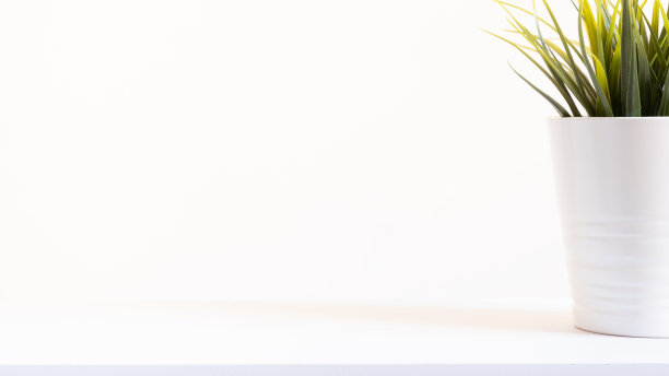 一个白色背景的多汁锅图片下载