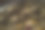 一个古董钟表装置的齿轮的特写图片下载