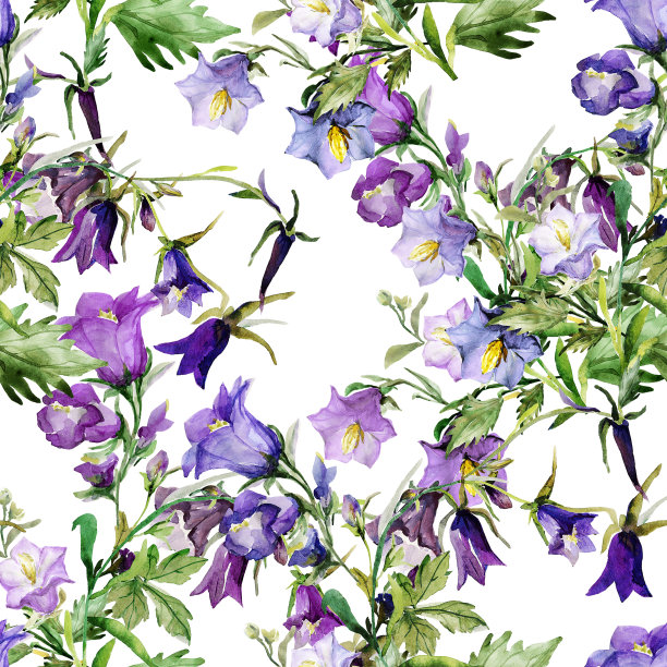 无缝水彩野花图案图片下载