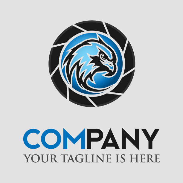 闭路电视摄像头鹰眼安全摄像头标志图片下载