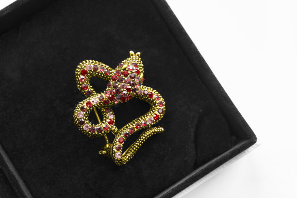 盒子里的胸针图片下载