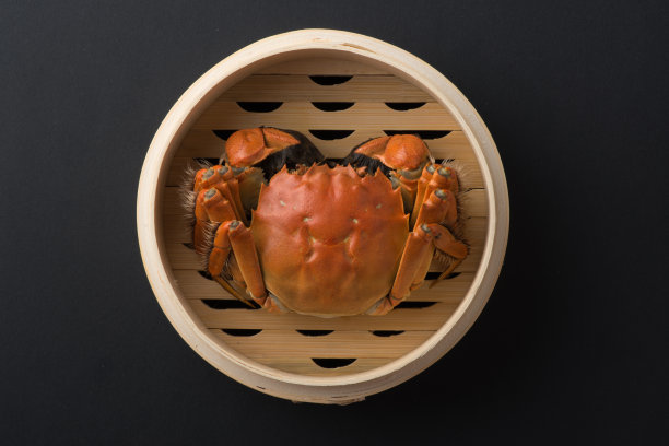 中华绒蝥蟹图片下载