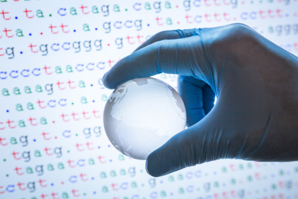 彩色编码DNA序列显示器与手握世界地图玻璃球图片下载