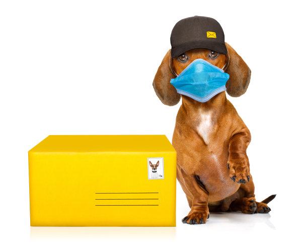 腊肠犬，腊肠犬图片下载