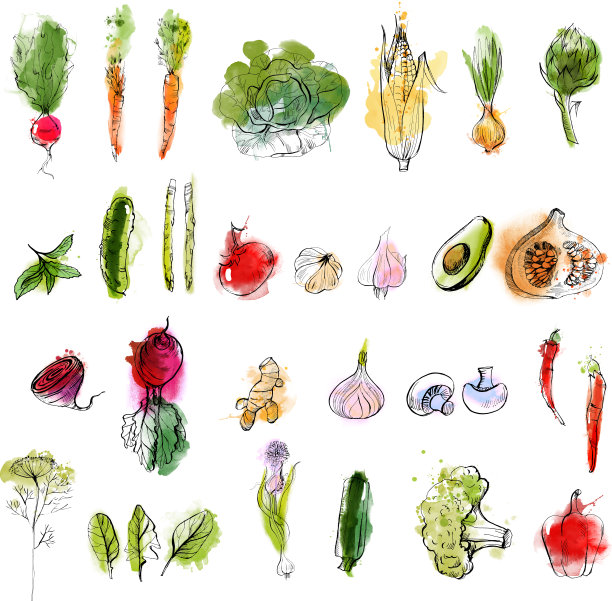 矢量集手绘水果和蔬菜素描插图。图片下载