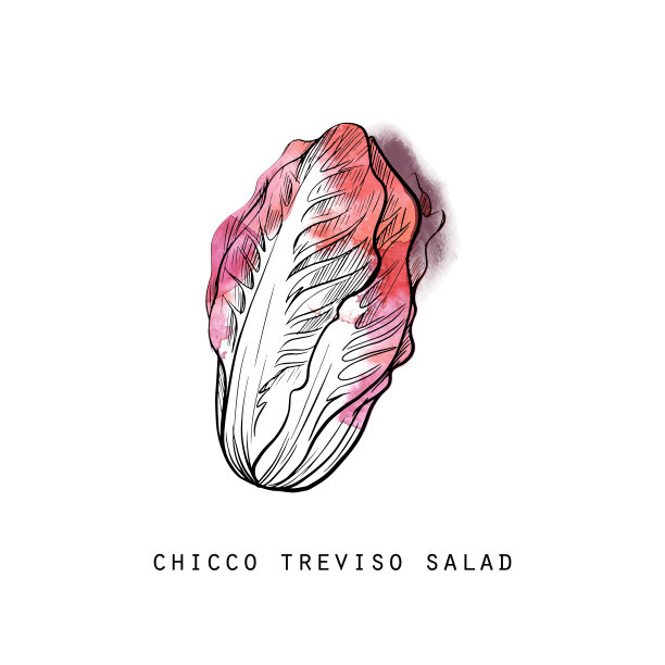 矢量集手绘水果和蔬菜素描插图。图片下载