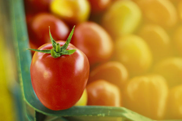 很多红色的番茄背景图片下载